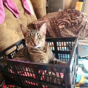 Meet your Posher, Glenda